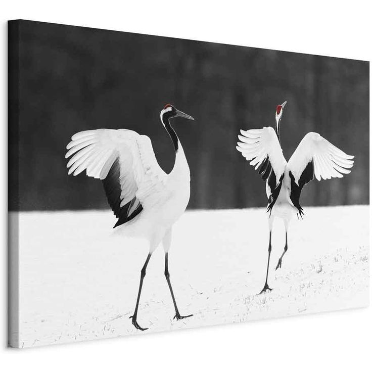 CONFIGURABLE PÄÄTUOTE - Taulu - Dancing Cranes (1 Part) Wide 75559