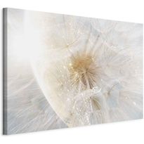 Taulu Artgeist Dandelion in the Sun (1 Part) Wide, eri vaihtoehtoja
