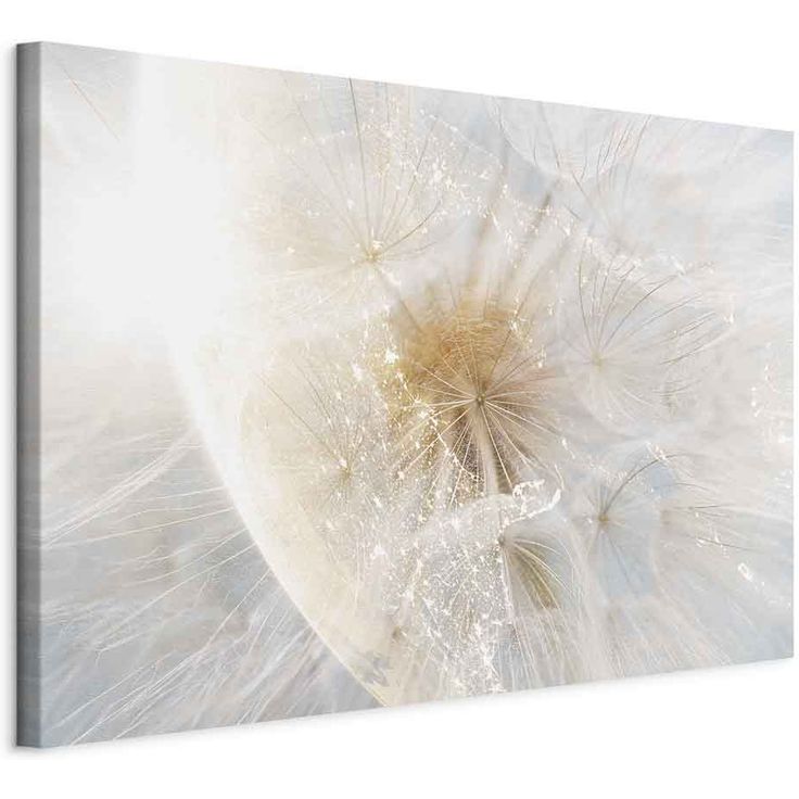 CONFIGURABLE PÄÄTUOTE - Taulu - Dandelion in the Sun (1 Part) Wide 42414