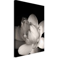 Taulu Artgeist Delicacy of Petals in Nature (1-part) - Flower in Black and White, eri vaihtoehtoja
