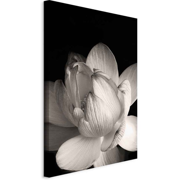 CONFIGURABLE PÄÄTUOTE - Taulu - Delicacy of Petals in Nature (1-part) - Flower in Black and White 97629