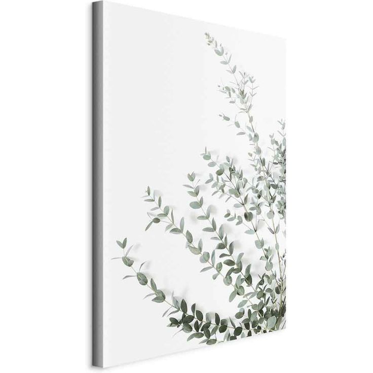 CONFIGURABLE PÄÄTUOTE - Taulu - Eucalyptus Parvifolia (1 Part) Vertical 88667