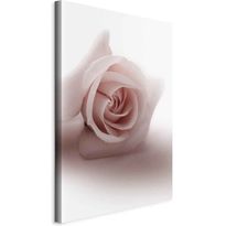 Taulu Artgeist Floral Glamour Glow (1-part) - Delicate and Pastel Pink Rose, eri vaihtoehtoja