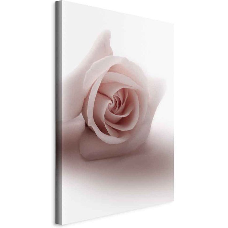 CONFIGURABLE PÄÄTUOTE - Taulu - Floral Glamour Glow (1-part) - Delicate and Pastel Pink Rose 77362
