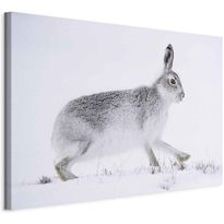 Taulu Artgeist Hare (1 Part) Wide, eri vaihtoehtoja