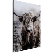 Taulu Artgeist Highland Cow in Sepia, eri vaihtoehtoja