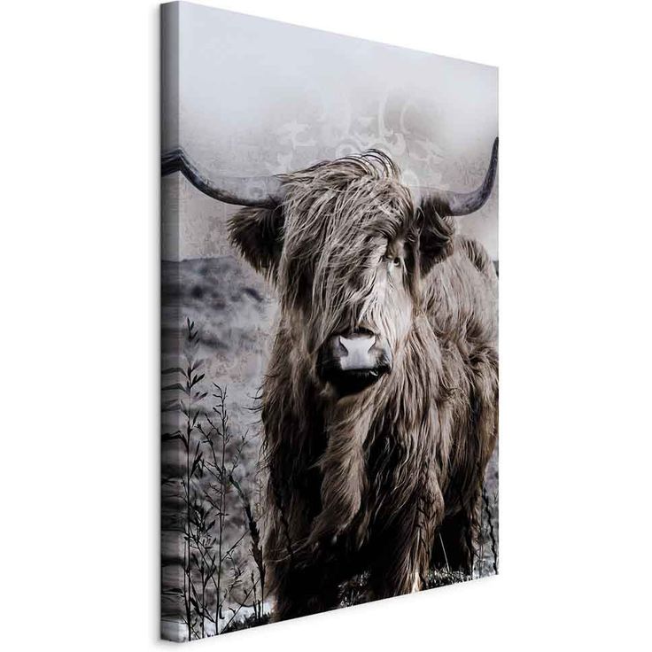 CONFIGURABLE PÄÄTUOTE - Taulu - Highland Cow in Sepia 33341