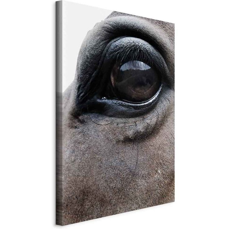CONFIGURABLE PÄÄTUOTE - Taulu - Honest Eyes (1 Part) Vertical 42619