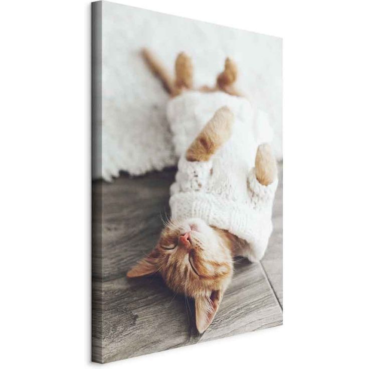 CONFIGURABLE PÄÄTUOTE - Taulu - Lazy Cat (1 Part) Vertical 92075