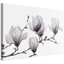 Taulu Artgeist Painted Magnolias (1 Part) Wide, eri vaihtoehtoja