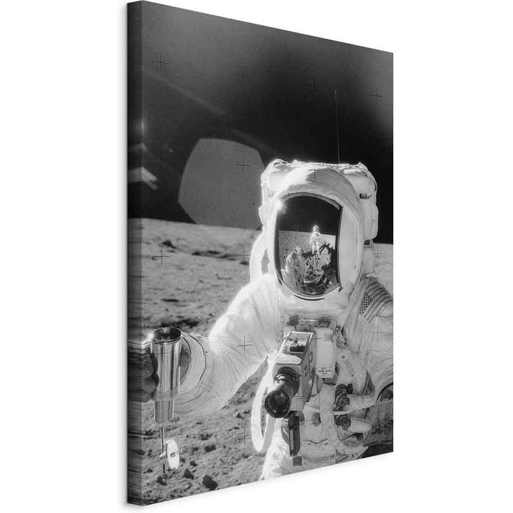 CONFIGURABLE PÄÄTUOTE - Taulu - Profession of Astronaut (1 Part) Vertical 66755