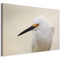 Taulu Artgeist Snowy Egret (1 Part) Wide, eri vaihtoehtoja