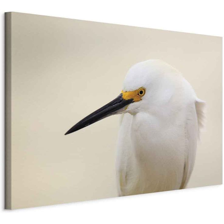 CONFIGURABLE PÄÄTUOTE - Taulu - Snowy Egret (1 Part) Wide 92341