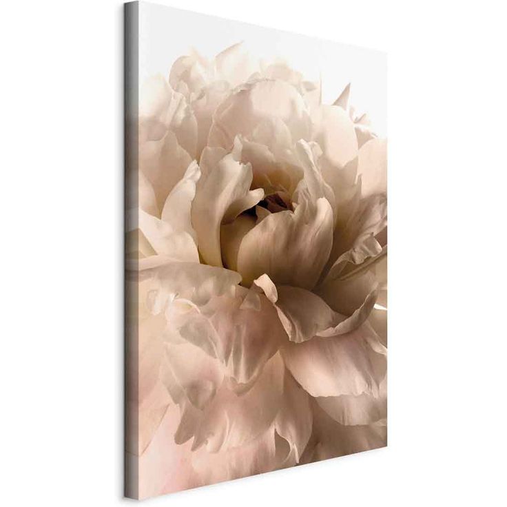 CONFIGURABLE PÄÄTUOTE - Taulu - Soft Petals (1 Part) Vertical 35041