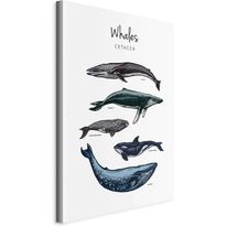 Taulu Artgeist Whales (1 Part) Vertical, eri vaihtoehtoja