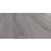 FE00358 - Vinyyli Flooria SPC Wood P1002 Aspen Oak