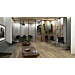 NM2003 - Vinyylilankku Flooria NuMaxx Villa Toscana Pisa, beige/harmaa