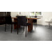 Vinyylilankku PowerStep 3000, Aristoteleen temppelikivi - POW3M154