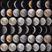Paneelitapetti Moon Phases - MTG-WP20066