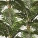 Paneelitapetti Jardin Tropical - MTG-WP20104