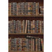Paneelitapetti Mindthegap Book Shelves, 1.56x3m (MTG-WP20112)