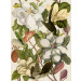 Paneelitapetti Magnolia Taupe - MTG-WP20152