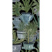 Paneelitapetti Echeveria - MTG-WP20163