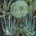 Paneelitapetti Succulentus Anthracite - MTG-WP20167