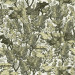 Paneelitapetti Mindthegap Tree Foliage, 1.56x3m (MTG-WP20481)