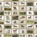 Paneelitapetti Mindthegap English Equestrian Stamps, 1.56x3m, beige/vihreä - WP20631