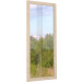 Lasielementti Palmako Lucy 12,2m²