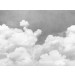 Mallipala Rebel Walls Cuddle Clouds Graphite (REBR14013)