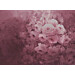 Mallipala Rebel Walls Harmony fuksia (REBR17071)