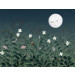 Mallipala Rebel Walls Pixie Night (REBR18191)