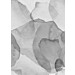 Mallipala Rebel Walls Petals mustavalkoinen (REBR18589)
