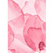 Mallipala Rebel Walls Petals pinkki (REBR19513)