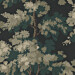 Tapetti Raphaël, mustapohjainen, 0,53x10,05m, non-woven