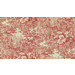 Kuvatapetti Sandberg Forest Toile punainen, mittatilaus, non-woven (SBES10401)