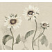 Kuvatapetti Sandberg Sunflowers valkoinen, mittatilaus, non-woven (SBES10529)