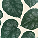 Tapetti Studio Lisa Bengtsson Life,, vihreä (SLB-S-1420)