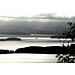 Usva Koli