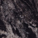 Forest Black