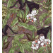 Mallipala Rebel Walls Alluring Panthers Pink (REBR16802)