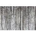Mallipala Rebel Walls Birch Trunks (REBR13031)