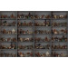 Mallipala Rebel Walls Cabinet of Curios Night (REBR14184)