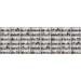 Mallipala Rebel Walls Cabinet of Curios Raw (REBR14182)