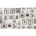 Mallipala Rebel Walls Cactus Wall Art Faded (REBR15322)