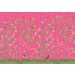 Mallipala Rebel Walls Chinoiserie Chic Fuchsia (REBR16746)
