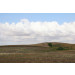 Mallipala Rebel Walls Cropland (REBR16481)