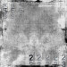 Mallipala Rebel Walls Dusty Rubber Stamp (REBR10841)